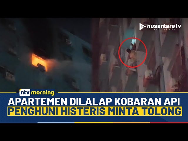 Youtube Thumnail image of :