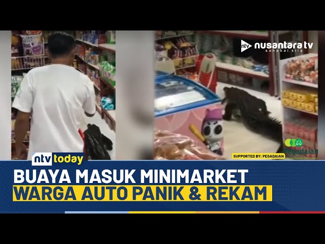 Youtube Thumnail image of :