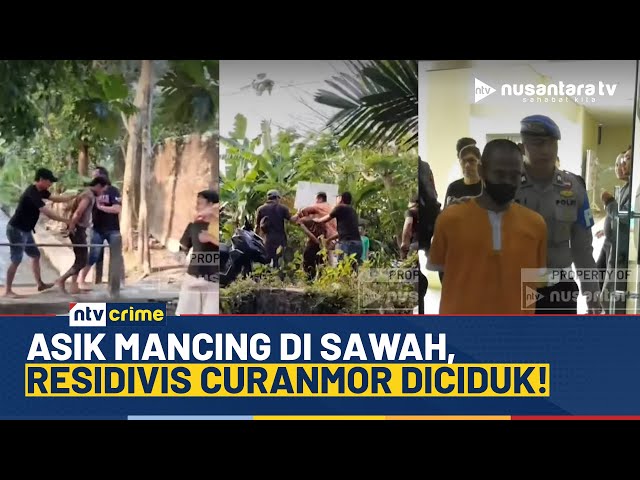 Youtube Thumnail image of : Residivis Pencurian Motor Ditangkap Saat Asik Memancing di Persawahan Wonosobo | NTV CRIME