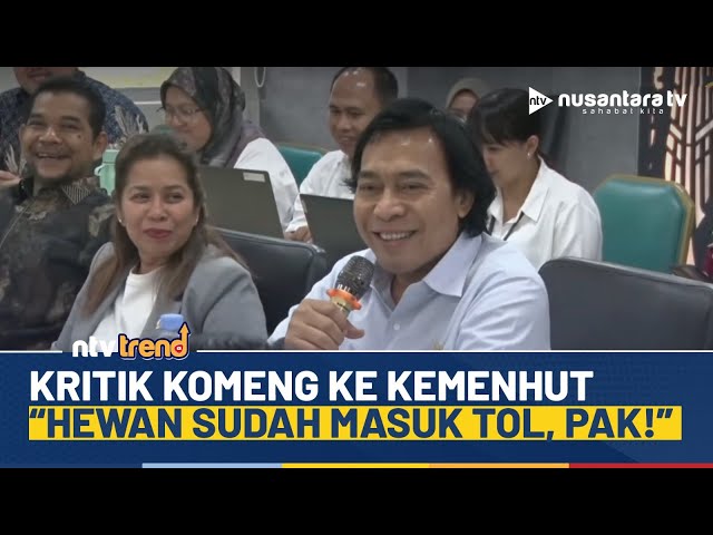 Youtube Thumnail image of : Senator Komeng Kritik Kemenhut Pakai Gaya Stand Up Comedy: Hewan Sudah Masuk Tol, Pak! | NTV