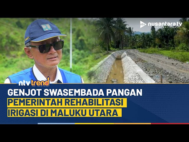 Youtube Thumnail image of : Wujudkan Swasembada Pangan, Pemerintah Rehabilitasi Irigasi Akedaga & Opiyang di Maluku Utara | NTV
