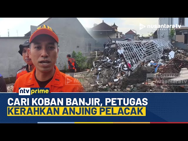 Youtube Thumnail image of : 1 Keluarga Hilang Akibat Banjir di Badung, Petugas Kerahkan Anjing Pelacak | NTV PRIME