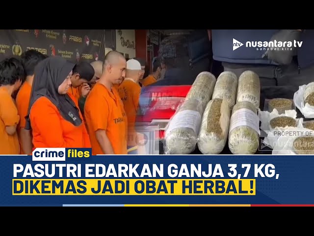 Youtube Thumnail image of : Pasutri Diamankan Polisi Diduga Edarkan Ganja Berkedok Obat Herbal | CRIME FILES