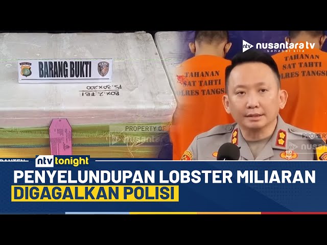 Youtube Thumnail image of : Digerebek Polisi! Ribuan Benih Lobster Siap Selundup Gagal Berangkat, 5 Pelaku Ditangkap | NTV