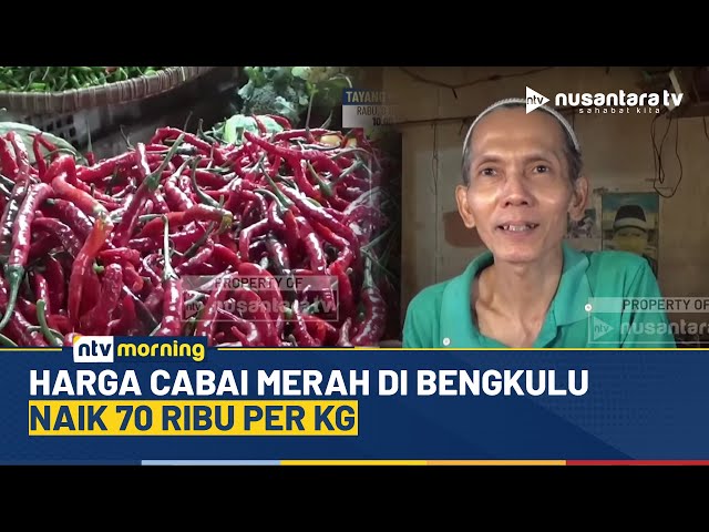 Youtube Thumnail image of : Warga Menjerit! Cabai Merah di Bengkulu Naik 70 Ribu Per Kg, Ayam Potong Ikut Melonjak | NTV MORNING