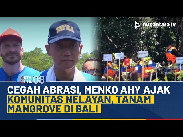 Youtube Thumnail image of : Menko AHY Ajak Komunitas Nelayan, Tanam Mangrove dan Bersih-Bersih Pantai di Bali | ASTA CITA 08