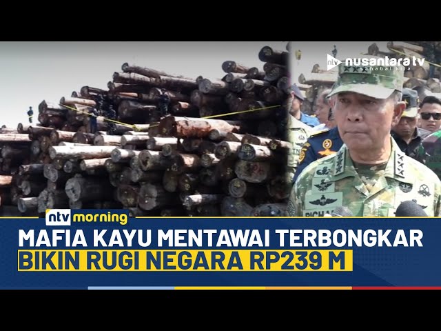 Youtube Thumnail image of : Terbongkar! TNI Sita Ribuan Kubik Kayu Ilegal di Gresik, Negara Rugi Rp239 Miliar | NTV MORNING