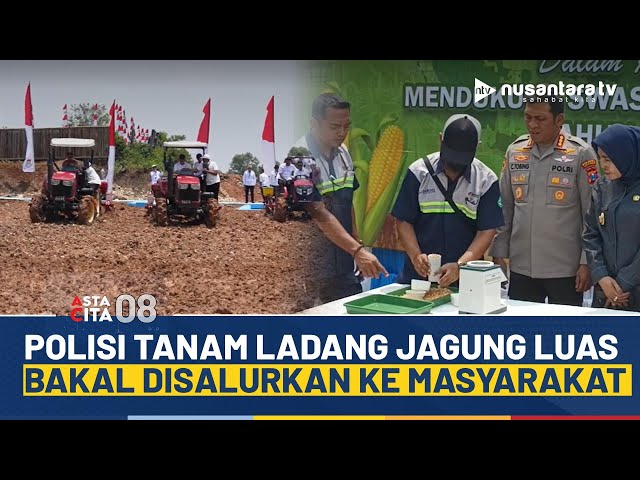 Youtube Thumnail image of : Demi Rakyat, Polresta Sidoarjo Tanam Jagung Jaga Ketahanan Pangan Nasional | ASTA CITA 08