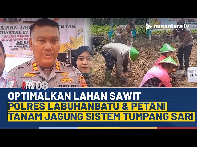 Youtube Thumnail image of : Polres Labuhanbatu Bersinergi dengan Petani, Gunakan Lahan Sawit untuk Tanam Jagung | ASTA CITA 08