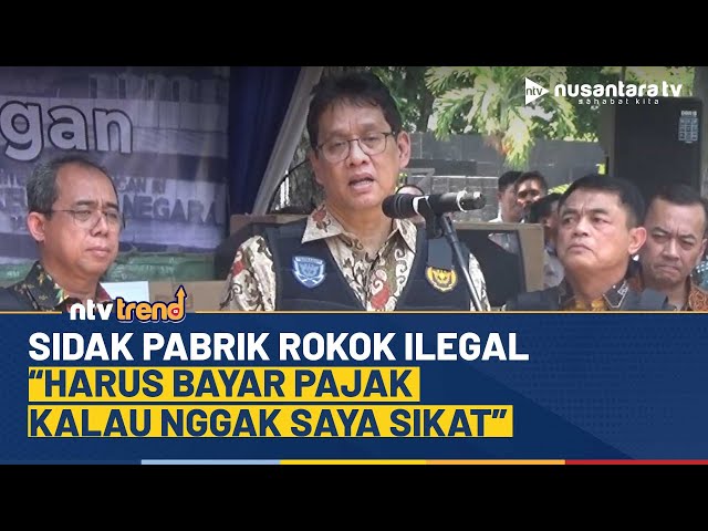 Youtube Thumnail image of : Menkeu Purbaya Sidak Pabrik Rokok Ilegal: Harus Bayar Pajak, Kalau Nggak Saya Sikat! | NTV