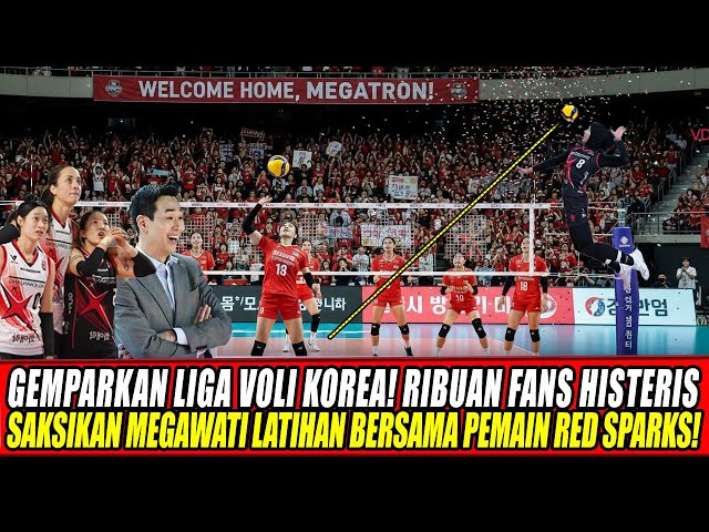 Youtube Thumnail image of : GEMPARKAN LIGA VOLI KOREA! Ribuan Fans Histeris Saksikan Megawati Latihan Bersama Pemain Red Sparks!