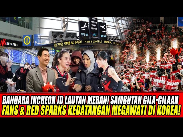 Youtube Thumnail image of : BANDARA KOREA PENUH🔥SAMBUTAN GILA-GILAAN FANS & PEMAIN RED SPARKS KEDATANGAN MEGAWATI DI KOREA!