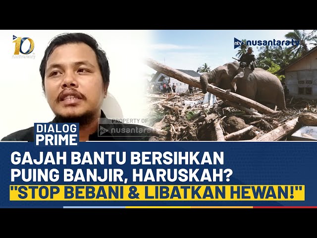 Youtube Thumnail image of : [FULL] Haruskah Gajah Bantu Bersihkan Puing Banjir? Dokter: Stop Bebani Hewan dengan Beban Kerja!